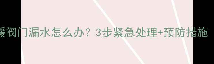 图片 壁挂炉供暖阀门漏水怎么办？3步紧急处理+预防措施（附图解）