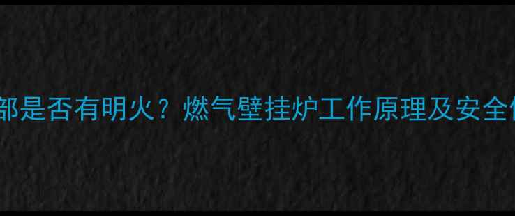 图片 壁挂炉内部是否有明火？燃气壁挂炉工作原理及安全使用指南2