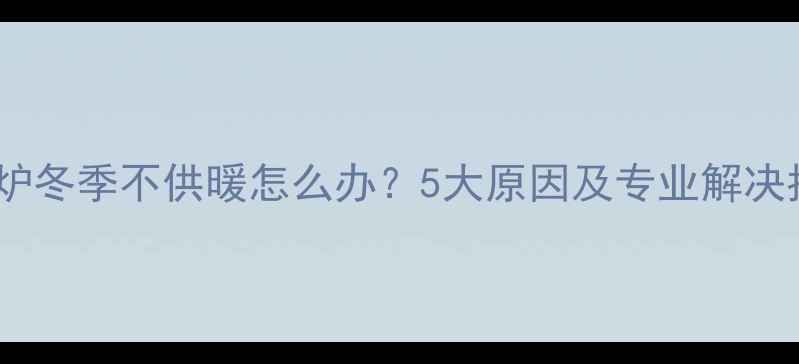 壁挂炉冬季不供暖怎么办5大原因及专业解决指南