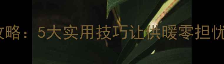 壁挂炉冬季防冻全攻略5大实用技巧让供暖零担忧告别结冰烦恼