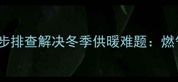 图片 壁挂炉冷水段频发？三步排查解决冬季供暖难题：燃气壁挂炉供暖故障深度1