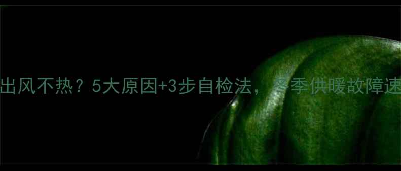 图片 壁挂炉出风不热？5大原因+3步自检法，冬季供暖故障速解决！