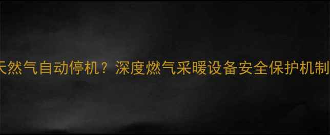 壁挂炉剩余10方天然气自动停机深度燃气采暖设备安全保护机制及故障处理方案