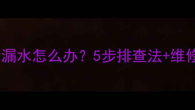 壁挂炉加压补水后漏水怎么办5步排查法维修指南附视频