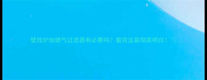 图片 壁挂炉加燃气过滤器有必要吗？看完这篇彻底明白！🔥