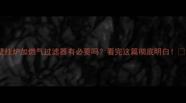 壁挂炉加燃气过滤器有必要吗看完这篇彻底明白