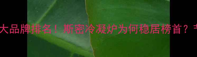 壁挂炉十大品牌排名斯密冷凝炉为何稳居榜首节能环保
