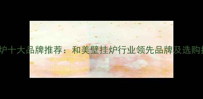 图片 壁挂炉十大品牌推荐：和美壁挂炉行业领先品牌及选购指南1