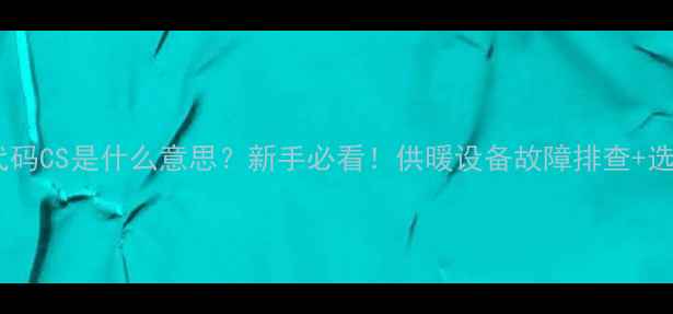 壁挂炉参数代码CS是什么意思新手必看供暖设备故障排查选购避坑指南