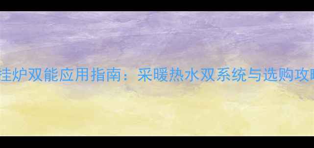 图片 壁挂炉双能应用指南：采暖热水双系统与选购攻略2