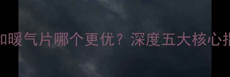 图片 壁挂炉和暖气片哪个更优？深度五大核心指标对比