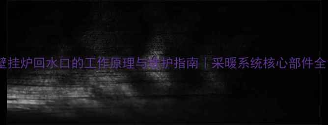 图片 壁挂炉回水口的工作原理与维护指南｜采暖系统核心部件全1