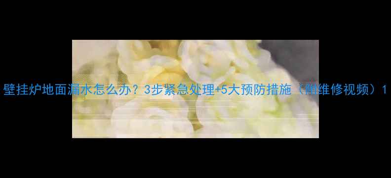 图片 壁挂炉地面漏水怎么办？3步紧急处理+5大预防措施（附维修视频）1