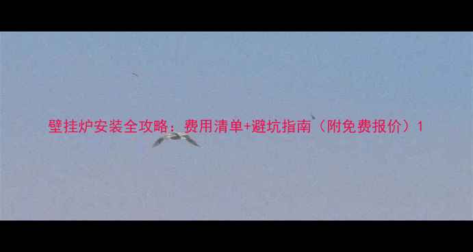 图片 壁挂炉安装全攻略：费用清单+避坑指南（附免费报价）1