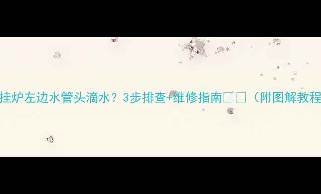 图片 壁挂炉左边水管头滴水？3步排查+维修指南🔧🔥（附图解教程）