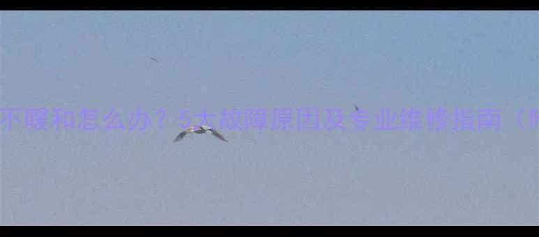 图片 壁挂炉带风机不暖和怎么办？5大故障原因及专业维修指南（附解决步骤）1