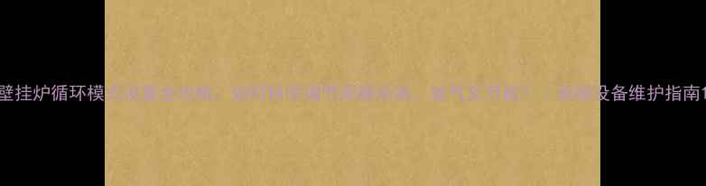 壁挂炉循环模式设置全攻略如何科学调节采暖系统省气又节能采暖设备维护指南