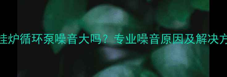 图片 壁挂炉循环泵噪音大吗？专业噪音原因及解决方法