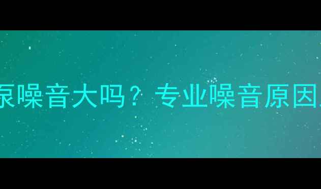 图片 壁挂炉循环泵噪音大吗？专业噪音原因及解决方法2