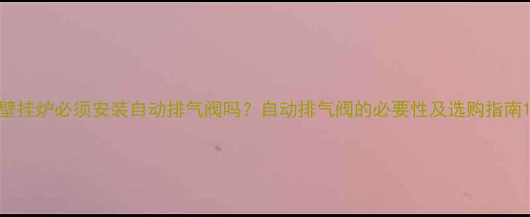 图片 壁挂炉必须安装自动排气阀吗？自动排气阀的必要性及选购指南1