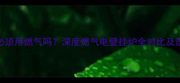 图片 壁挂炉必须用燃气吗？深度燃气电壁挂炉全对比及选型指南