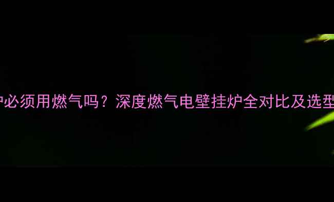 图片 壁挂炉必须用燃气吗？深度燃气电壁挂炉全对比及选型指南1