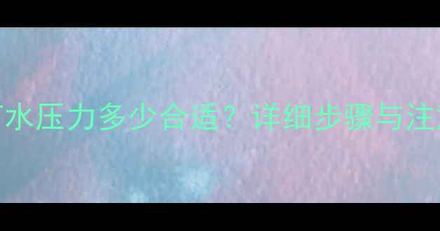 图片 壁挂炉打水压力多少合适？详细步骤与注意事项全