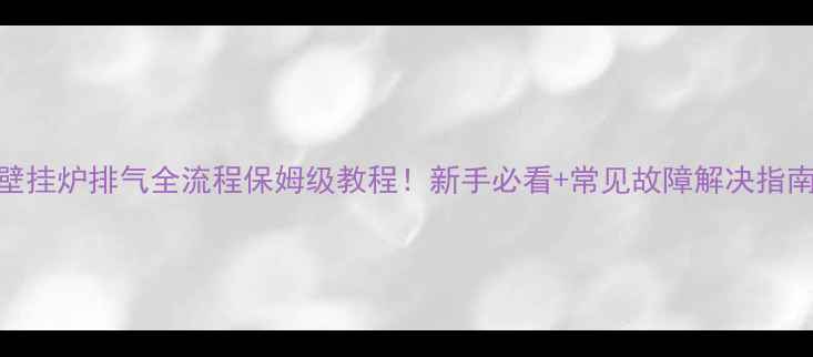 壁挂炉排气全流程保姆级教程新手必看常见故障解决指南