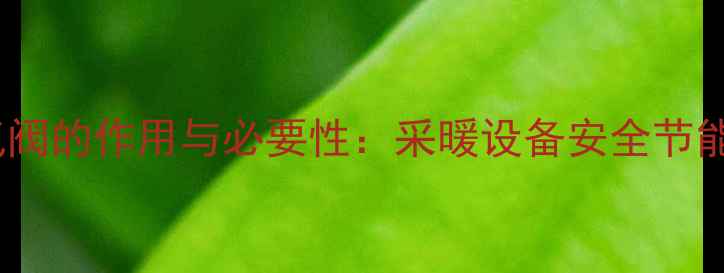 图片 壁挂炉排气阀的作用与必要性：采暖设备安全节能选择指南1