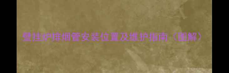 图片 壁挂炉排烟管安装位置及维护指南（图解）