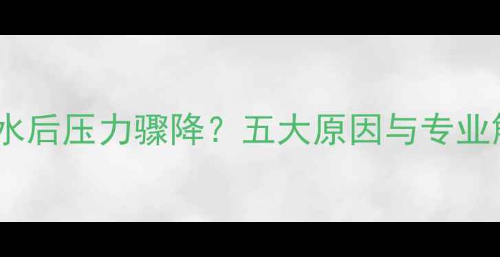 图片 壁挂炉放热水后压力骤降？五大原因与专业解决方案全1