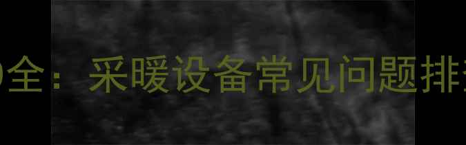 图片 壁挂炉故障代码H20全：采暖设备常见问题排查与专业维修指南2