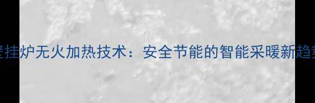 图片 壁挂炉无火加热技术：安全节能的智能采暖新趋势
