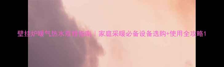 图片 壁挂炉暖气热水双修指南｜家庭采暖必备设备选购+使用全攻略1