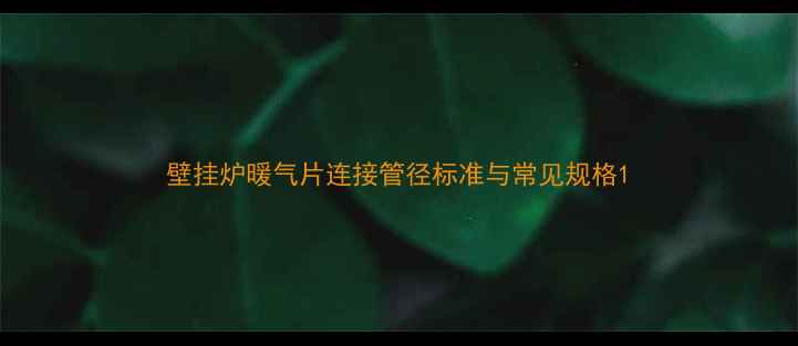 图片 壁挂炉暖气片连接管径标准与常见规格1