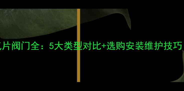 图片 壁挂炉暖气片阀门全：5大类型对比+选购安装维护技巧（附图解）