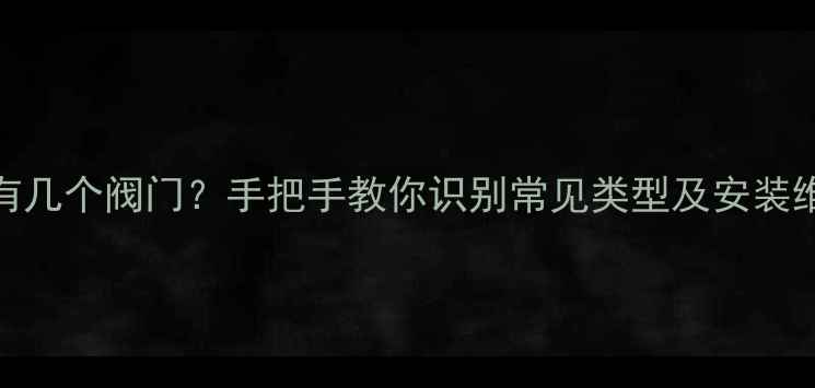 图片 壁挂炉有几个阀门？手把手教你识别常见类型及安装维护技巧
