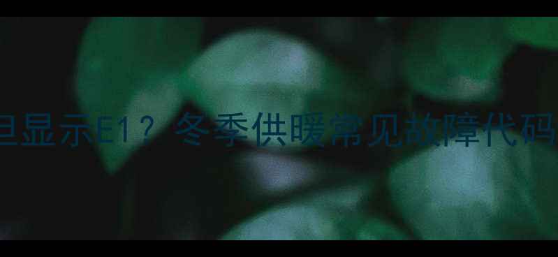 图片 壁挂炉有气但显示E1？冬季供暖常见故障代码与解决指南1