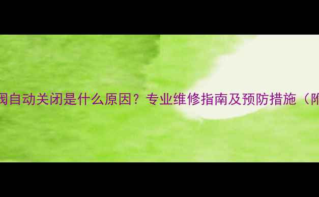 图片 壁挂炉止气阀自动关闭是什么原因？专业维修指南及预防措施（附维修案例）