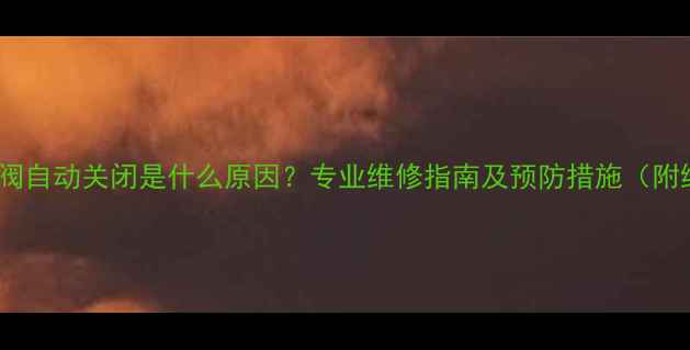 壁挂炉止气阀自动关闭是什么原因专业维修指南及预防措施附维修案例