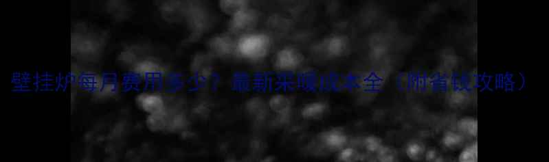 壁挂炉每月费用多少最新采暖成本全附省钱攻略