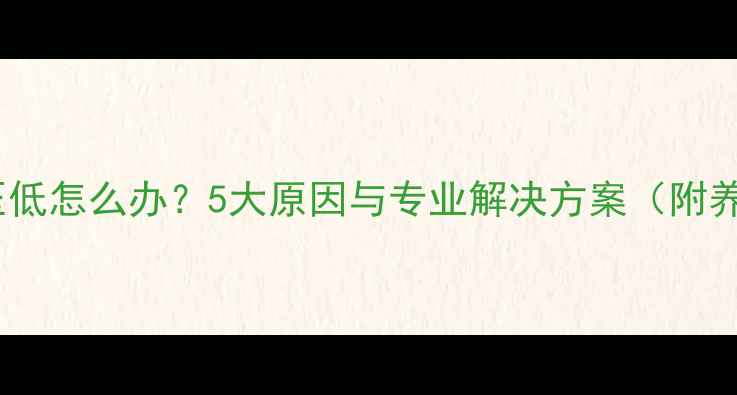 壁挂炉水压低怎么办5大原因与专业解决方案附养护指南