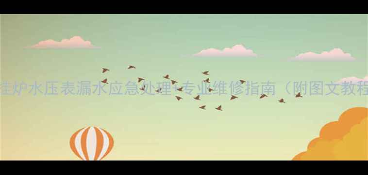 图片 壁挂炉水压表漏水应急处理+专业维修指南（附图文教程）