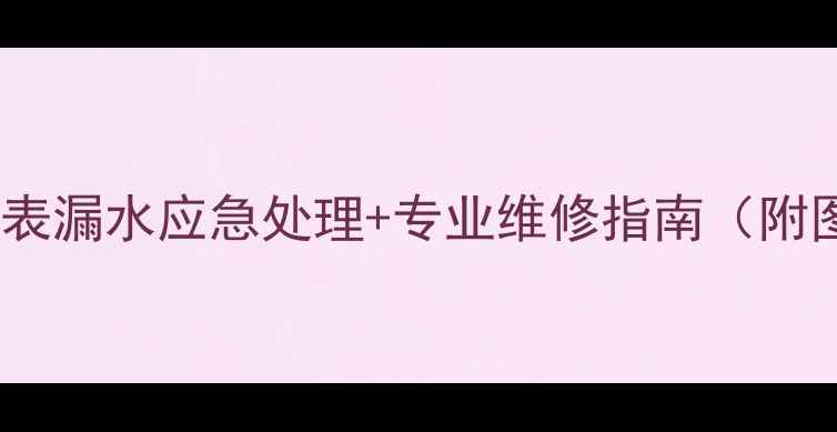 图片 壁挂炉水压表漏水应急处理+专业维修指南（附图文教程）1