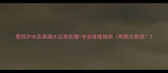 图片 壁挂炉水压表漏水应急处理+专业维修指南（附图文教程）2