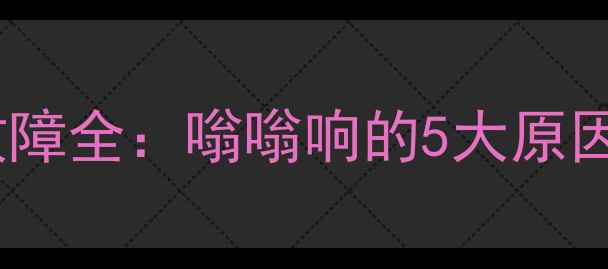 图片 壁挂炉水泵异响故障全：嗡嗡响的5大原因及专业维修指南2