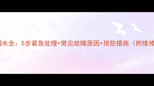 图片 壁挂炉水泵漏水全：5步紧急处理+常见故障原因+预防措施（附维修视频教程）1