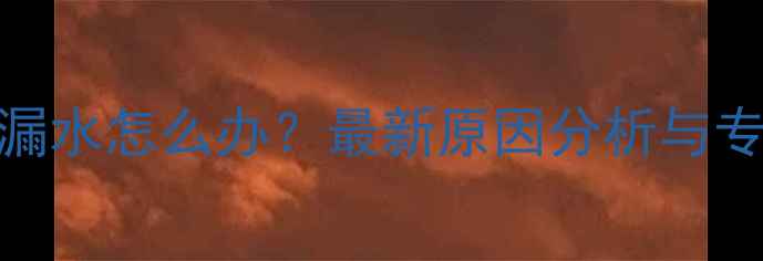 图片 壁挂炉水泵漏水怎么办？最新原因分析与专业解决指南