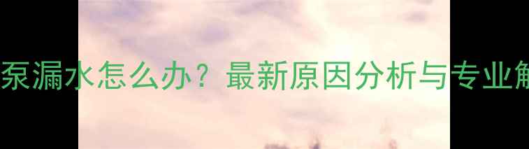 图片 壁挂炉水泵漏水怎么办？最新原因分析与专业解决指南1