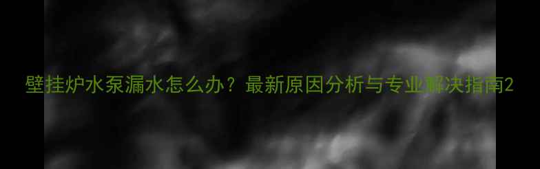 图片 壁挂炉水泵漏水怎么办？最新原因分析与专业解决指南2